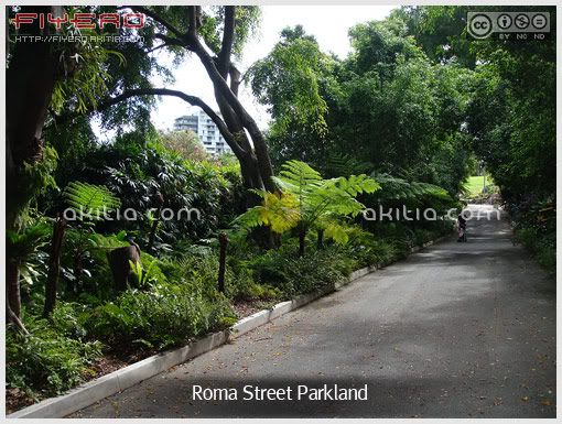 Roma Street Parkland, โรม่าสตรีทปาร์คแลนด์, สวนต้นไม้, ไม้แปลก, ไม้หายาก, ต้นไม้, ดอกไม้, aKitia.Com